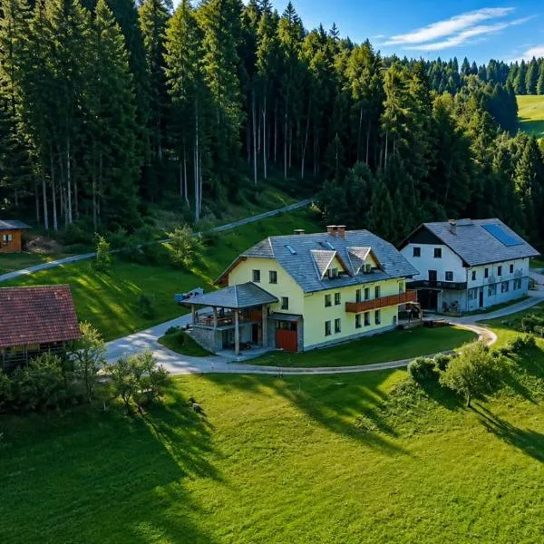 Apartments Čenda, hotel a Železniki