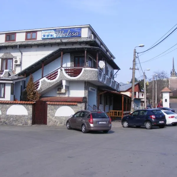 Pensiunea Melisa, Hotel in Tulcea