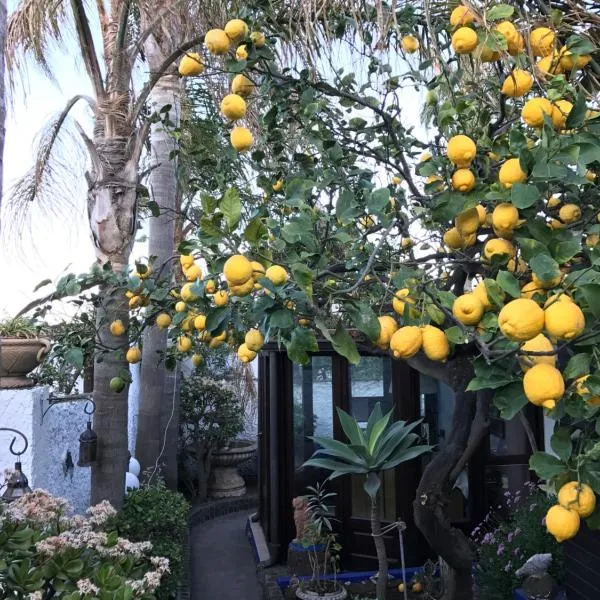 Viesnīca Aquilone Residence pilsētā Stromboli