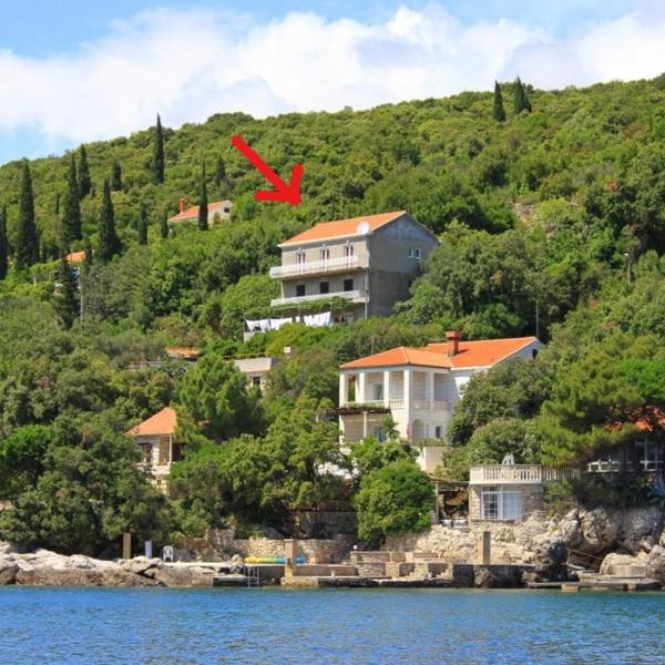 Apartments Antunović