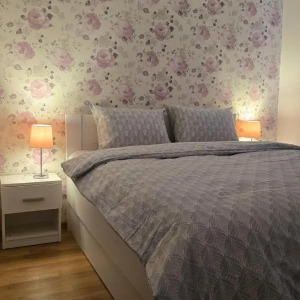 Modern Family Stay near CNE | Parking & Workspace, hotel a Cernavodă
