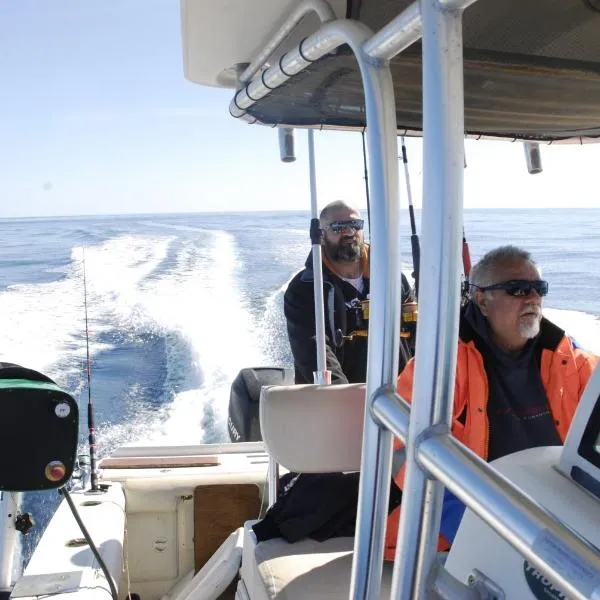 Apartments Silvana, hotel in Lastovo