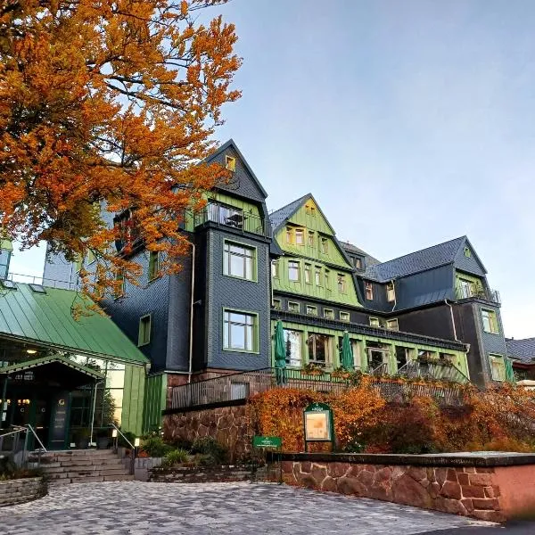 BERG & SPA HOTEL GABELBACH, hotell sihtkohas Ilmenau