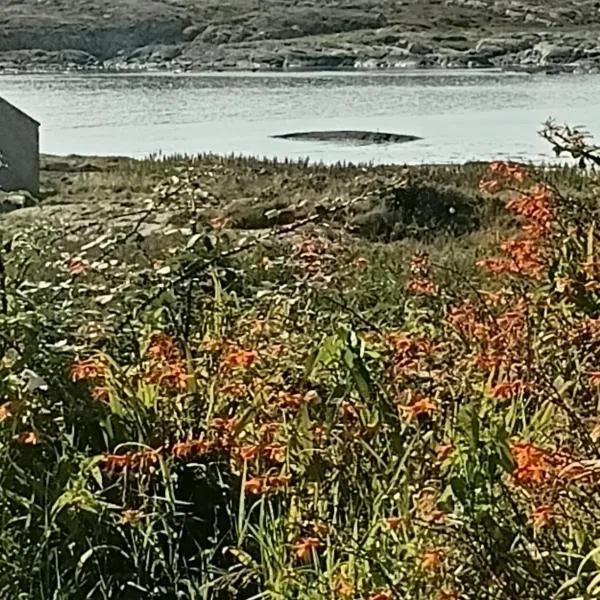 Sea breeze house, hotel din Dog Island