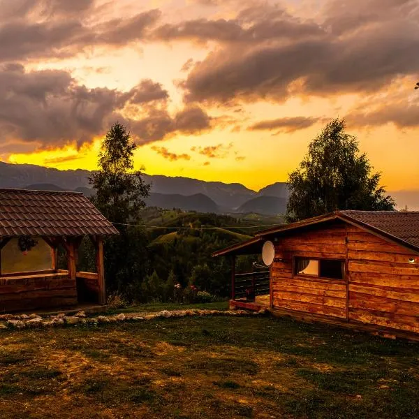 Cabana doi mesteceni, hotel di Drumu Carului