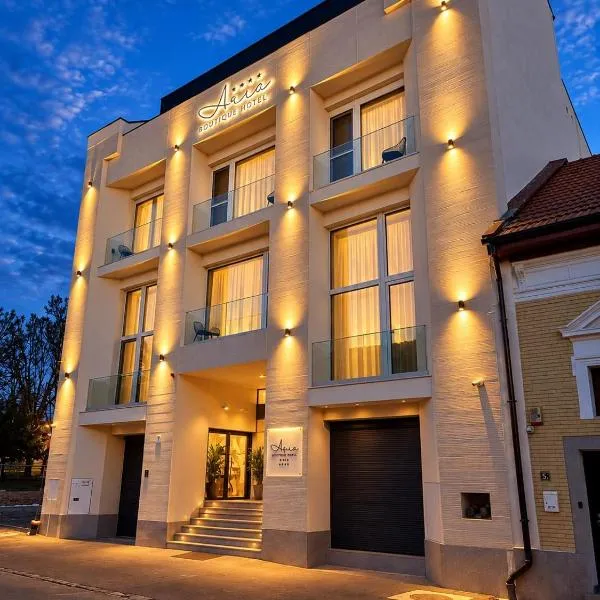 오라데아에 위치한 호텔 ARIS Boutique Hotel & SPA
