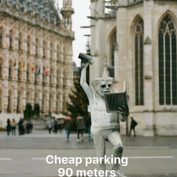 Cozy Boutique hotel-Guesthouse Leuven -self check in-NO STAFF，位于鲁汶的酒店