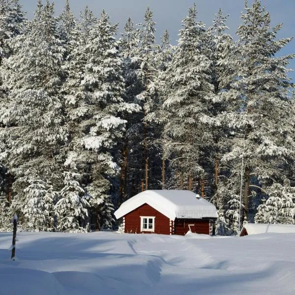 Cabin Dating from 1721 without internet - electricity or running water but with a traditional red painted outhouse, hotel di Ljørdal