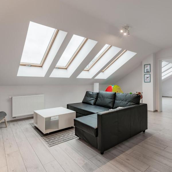 Apartament Rodzinny Mountain Aparts