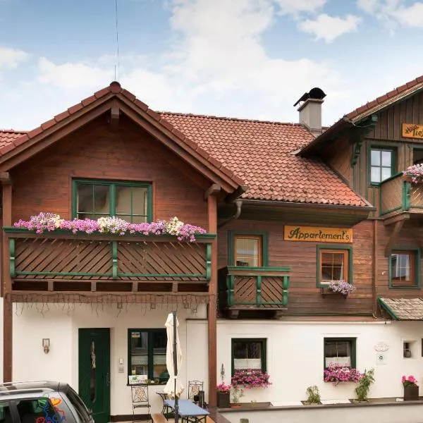 Das kleine Bio Hotel Tiefenbach，位于斯拉德明的酒店