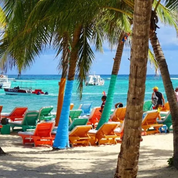 Caribbean PALMS TROPICANA HOTEL playa Los Corales、プンタ・カナのホテル