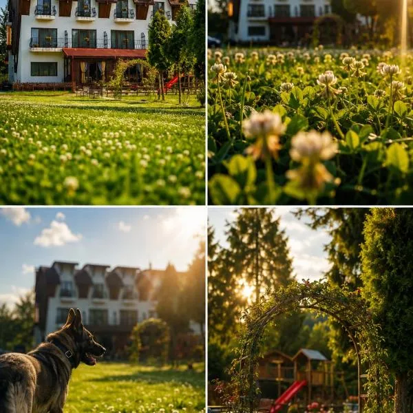 Pensiunea Casa Padurii Slanic Prahova, отель в Слэнике