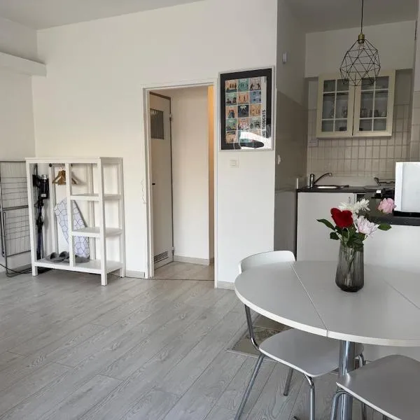 Lovely condo next to European Area、ブリュッセルのホテル