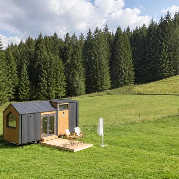 The Alpine Experience by Tiny Away, hotel di Zell-Freibach