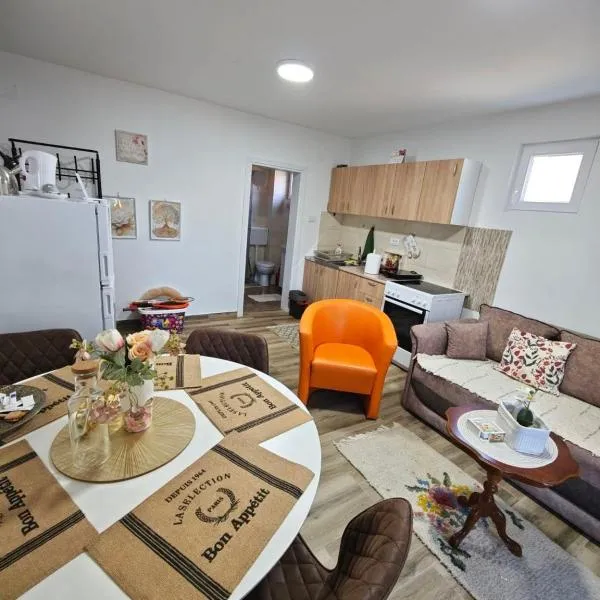 Gunjica में, होटल Apartman Raj