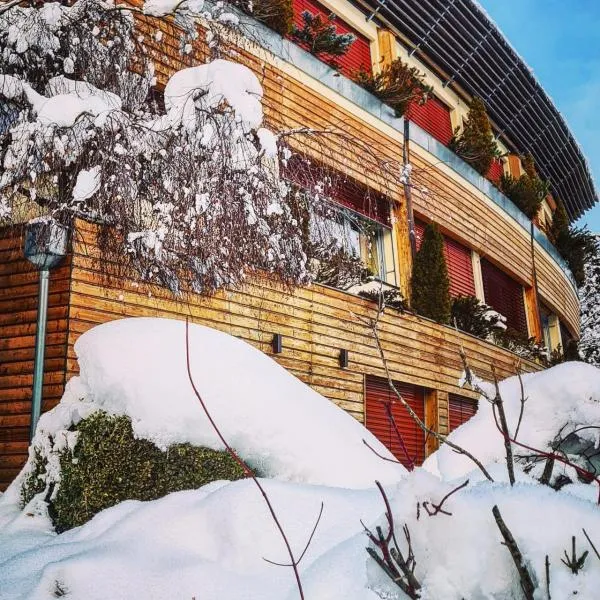 Gruber`s garni & more, hotel u Bad Klajnkirhajmu