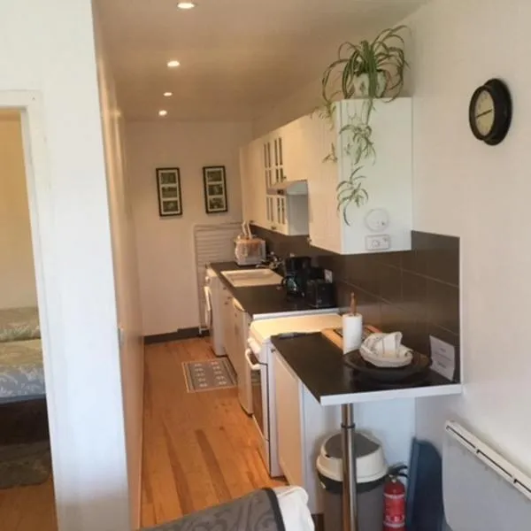 拉巴特高级公寓 ，位于Puycalvel Lautrec的酒店