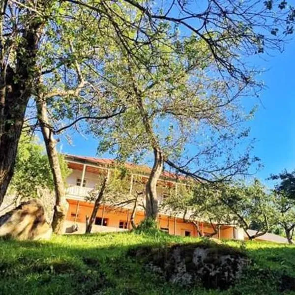 Mushkudiani Manor, hotel i Mestia