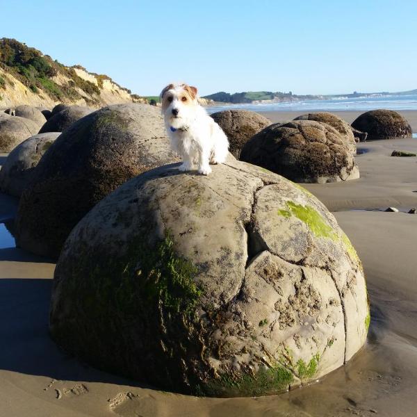 Moeraki Boulders Motel