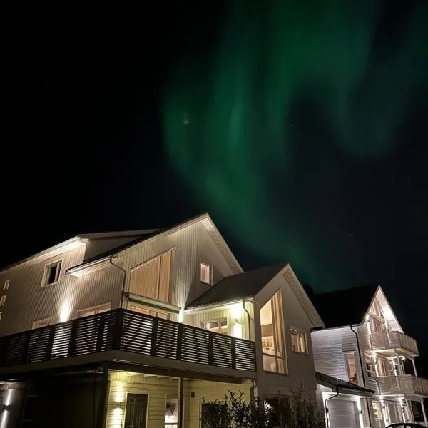 Modern holiday home on Kvaløya near Tromsø with Northern Lights and nature, hotel in Kvaløya