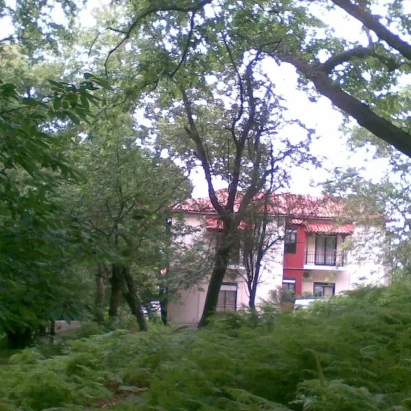 Orpheus Hotel, hotel v destinácii Therma