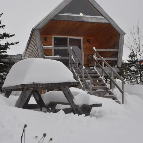 The ZzzzMoose 2 0 Camping Cabin,位于Birch Plain的酒店