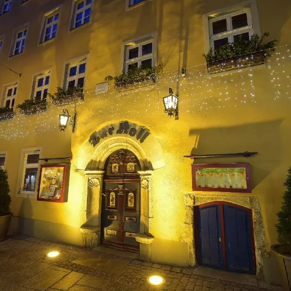 Gasthaus Zur Noll, hotel in Jena