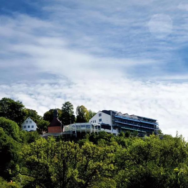 Berg-Gasthof Hötzelein, hotel in Kunreuth