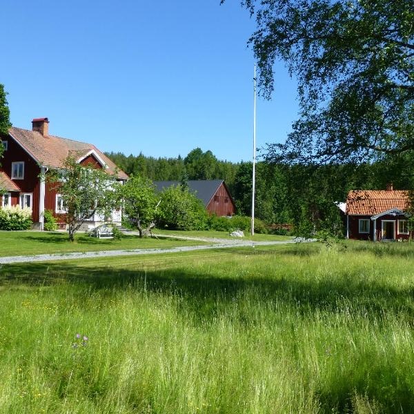 Gröna Ånäs