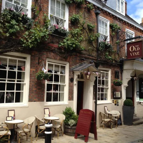 The Old Vine, hotel v destinaci Winchester