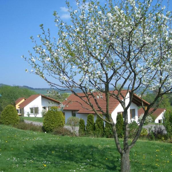 Detached single-storey bungalow with south-facing terrace