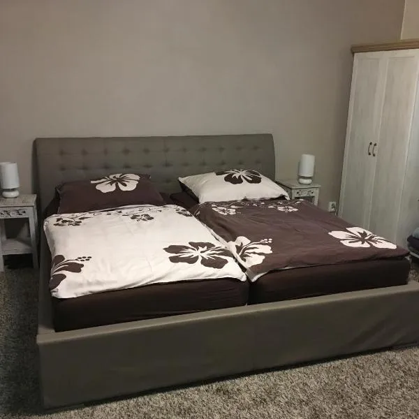 Ubytování v soukromí U Volného, khách sạn ở Příbor