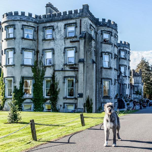 Ballyseede Castle