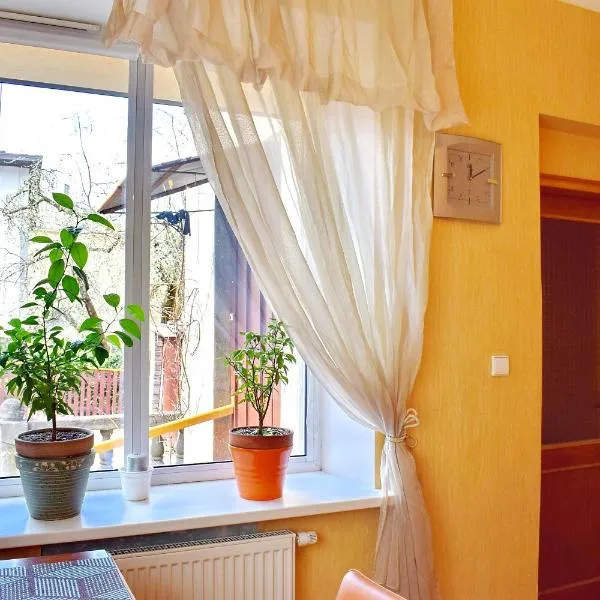 Cozy room in Kaunas, hotel in Kaunas