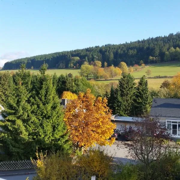 Fewos 4-Jahreszeiten, Hotel in Willingen