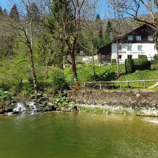 Auberge Le Moulin Du Plain, hotel en Goumois