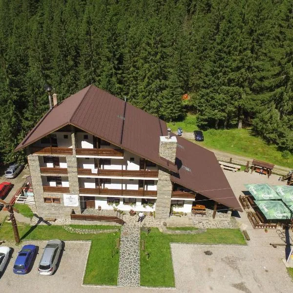 Conacul Ursului, ξενοδοχείο σε Cumpăna