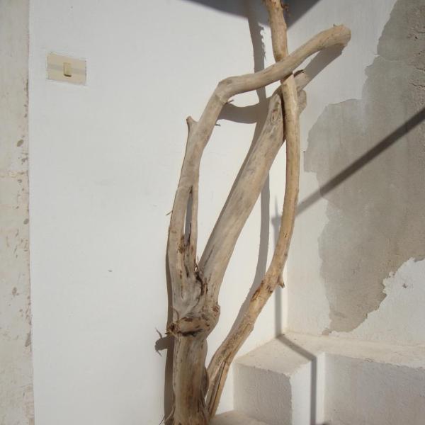 Il Nido di Diana in Ortigia