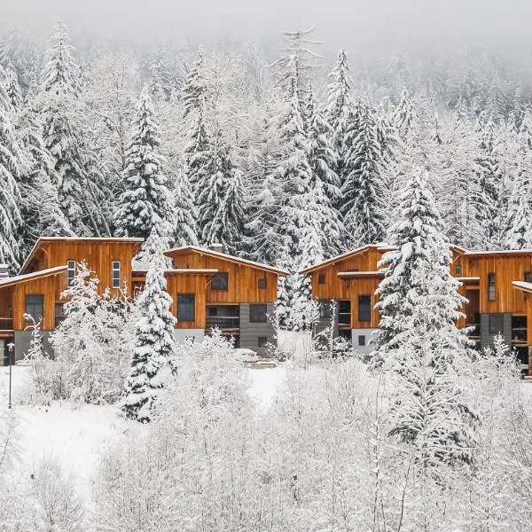 The Mountain Project #2, Hotel in Rossland