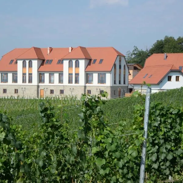 Weingut Taggenbrunn, hotel a Sankt Veit an der Glan