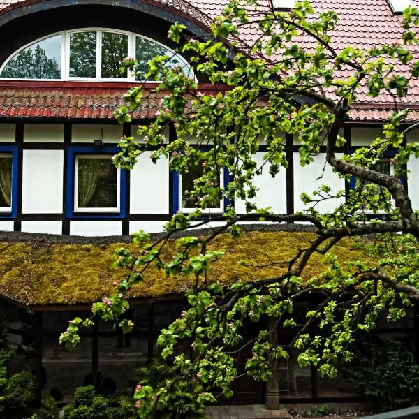 Hotel Jelita, hotel en Nida
