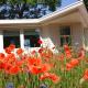 Het Findament Tiny house, Hilversum