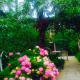 Colibri Home