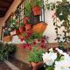 Villa 'Los Balcones' - Villa Superior en Priego de Córdoba, Priego de Córdoba (fotografie 6)