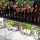 Holiday Home Manda, Tounj (zdjęcie 9)