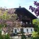 Pension Schachernhof
