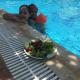 Konyaaltı HOTEL, Antalya - Photo 4