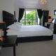 Greyhound Hever, Edenbridge (fotografie 8)