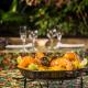 Pousada e Restaurante Fim da Trilha, Ilha do Mel - Fotografie 4