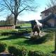 Bison Ranch, Rožnov (foto 7)